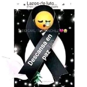 Meet your Posher, Silvia